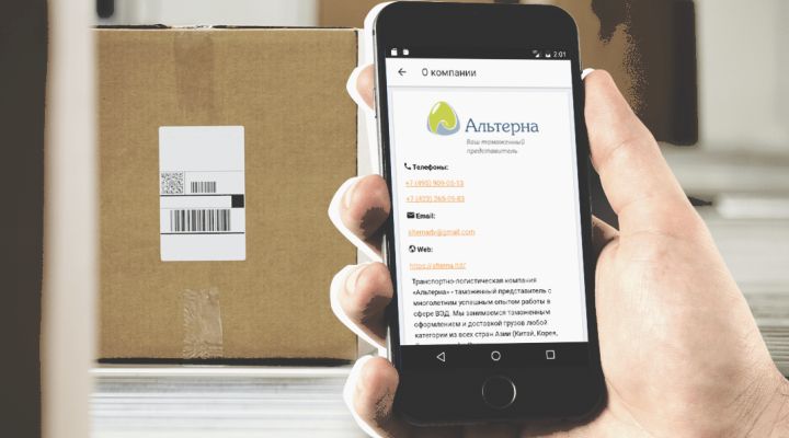 Альтерна – помощник ВЭД