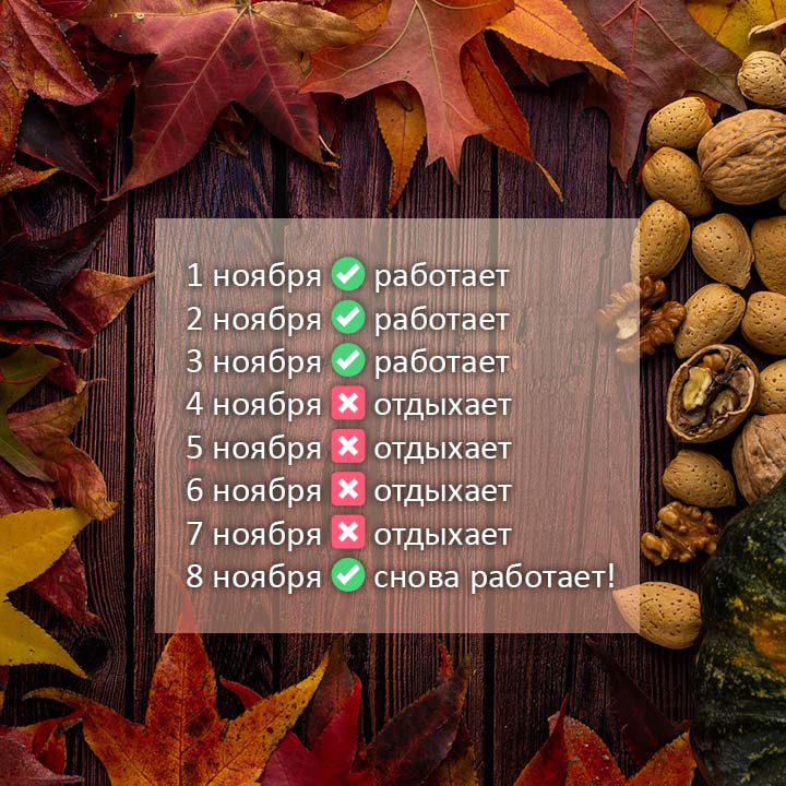 альтерна график работы в ноябре